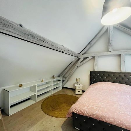 Appartement Ideal Au Coeur D 欧塞尔 外观 照片