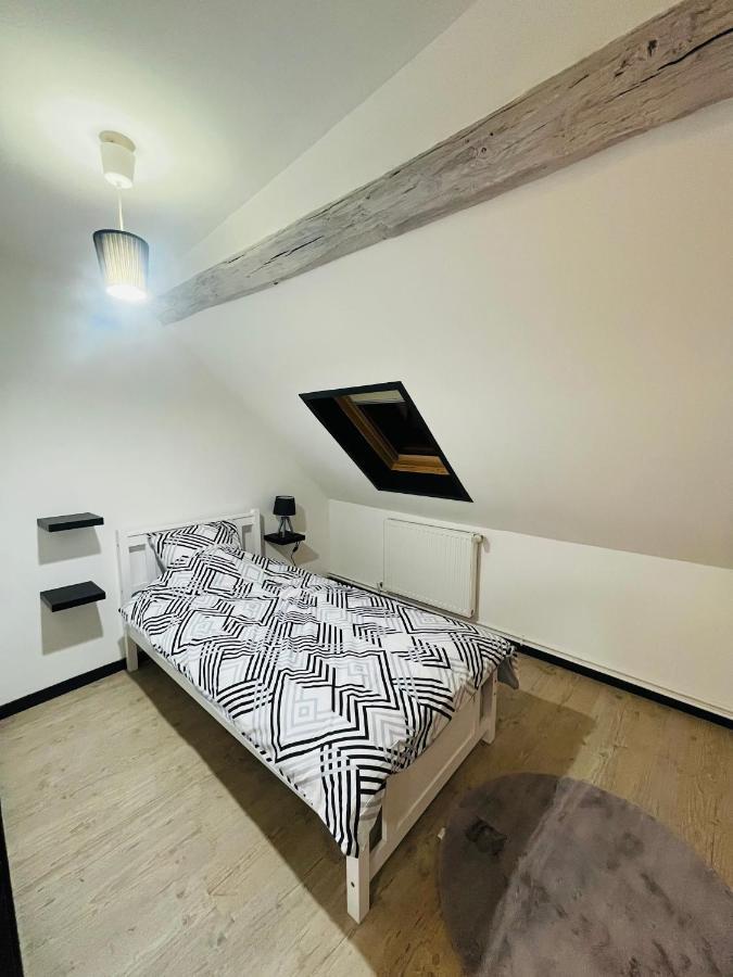 Appartement Ideal Au Coeur D 欧塞尔 外观 照片